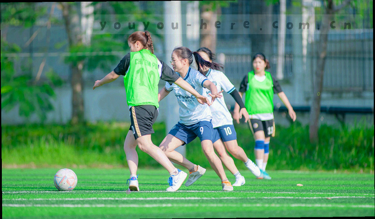 三条低饱和色带分别代表资源下载、内容栏目与变更说明，色带上标注条目数量